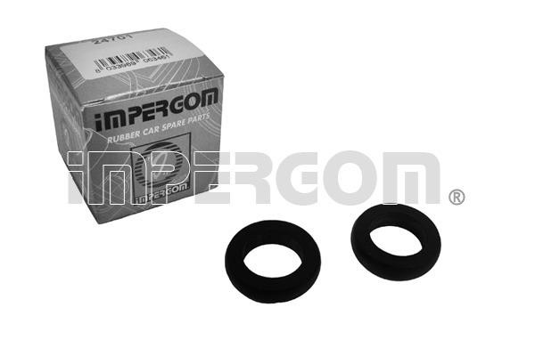 Impergom 24701 Ремкомплект главного тормозного цилиндра 24701: Отличная цена - Купить в Польше на 2407.PL!