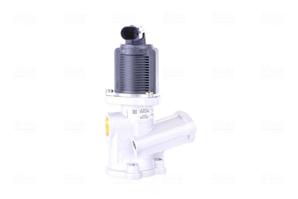 Nissens 98175 EGR Valve 98175: Buy near me in Poland at 2407.PL - Good price!