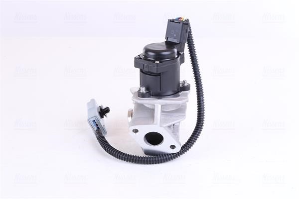 Nissens 98244 EGR Valve 98244: Buy near me in Poland at 2407.PL - Good price!