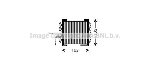 Prasco MS2443 Fuel radiator MS2443: Buy near me at 2407.PL in Poland at an Affordable price!