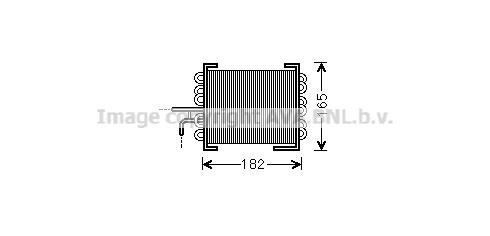 Prasco MS2480 Fuel radiator MS2480: Buy near me at 2407.PL in Poland at an Affordable price!