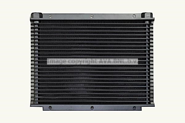 Prasco UV3175 Oil cooler UV3175: Buy near me in Poland at 2407.PL - Good price!