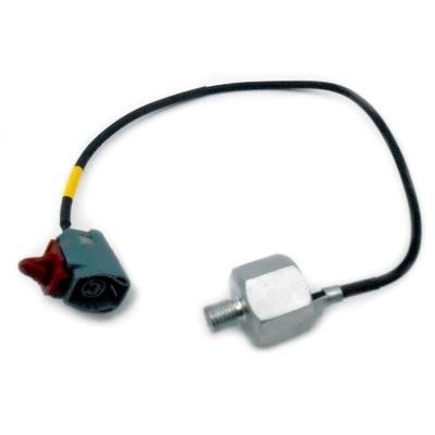 Hoffer 75175015 Knock sensor 75175015: Buy near me in Poland at 2407.PL - Good price!