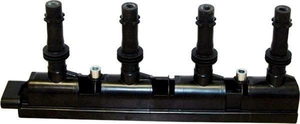 Hoffer 8010606E Ignition coil 8010606E: Buy near me in Poland at 2407.PL - Good price!