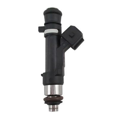 Hoffer H75116116 Injector Nozzle H75116116: Buy near me in Poland at 2407.PL - Good price!