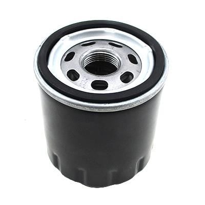 Hoffer 15587 Oil Filter 15587: Buy near me in Poland at 2407.PL - Good price!