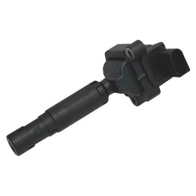 Hoffer 8010661E Ignition coil 8010661E: Buy near me in Poland at 2407.PL - Good price!