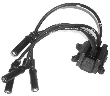 Hoffer 8010421E Ignition coil 8010421E: Buy near me in Poland at 2407.PL - Good price!