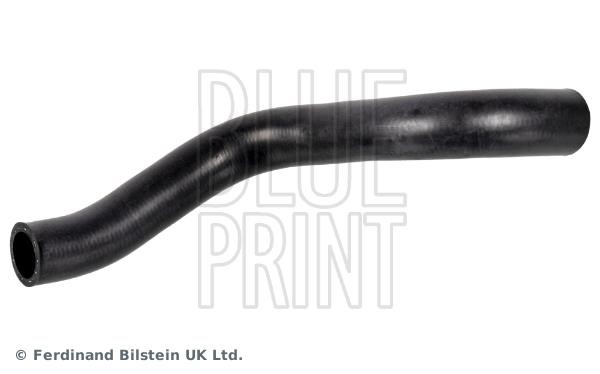 Blue Print ADBP930002 Radiator hose ADBP930002: Buy near me at 2407.PL in Poland at an Affordable price!