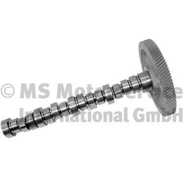 BF 20100390400 Camshaft 20100390400: Buy near me in Poland at 2407.PL - Good price!