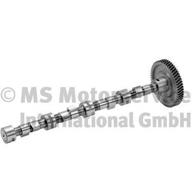 BF 20100591204 Camshaft 20100591204: Buy near me in Poland at 2407.PL - Good price!