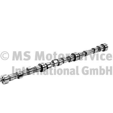 BF 20100208261 Camshaft 20100208261: Buy near me in Poland at 2407.PL - Good price!