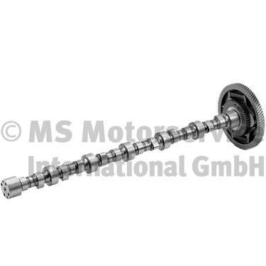 BF 20100225660 Camshaft 20100225660: Buy near me in Poland at 2407.PL - Good price!
