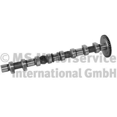 BF 20 1003 61101 Camshaft 20100361101: Buy near me in Poland at 2407.PL - Good price!