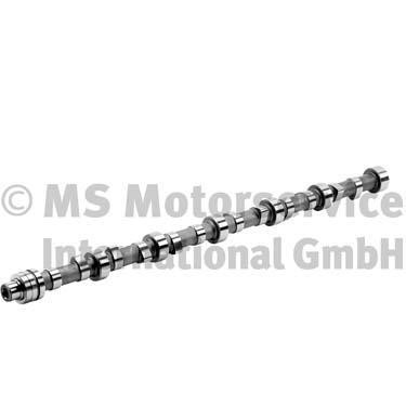 BF 20100911600 Camshaft 20100911600: Buy near me in Poland at 2407.PL - Good price!