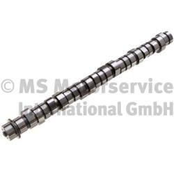 BF 20 1004 11001 Camshaft 20100411001: Buy near me in Poland at 2407.PL - Good price!