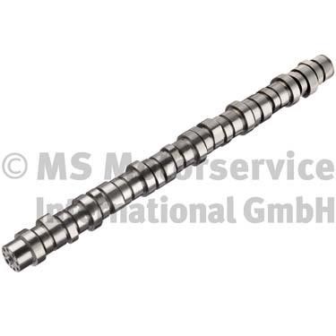 BF 20100413001 Camshaft 20100413001: Buy near me at 2407.PL in Poland at an Affordable price!