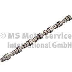 BF 20100790000 Camshaft 20100790000: Buy near me in Poland at 2407.PL - Good price!