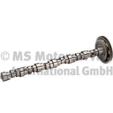 BF 20100346005 Camshaft 20100346005: Buy near me in Poland at 2407.PL - Good price!