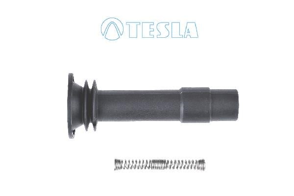 Tesla CP082 Plug, spark plug CP082: Buy near me at 2407.PL in Poland at an Affordable price!