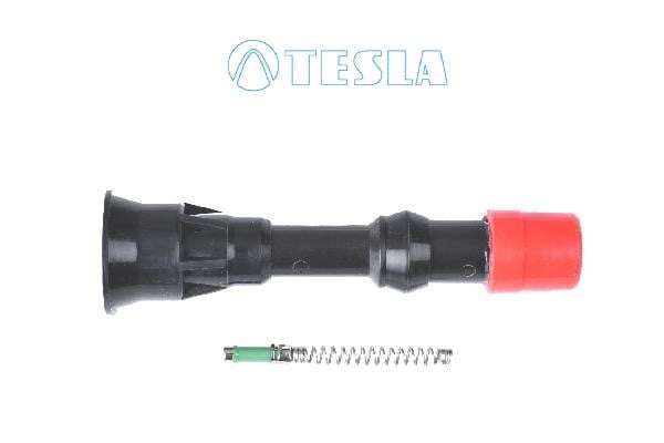 Tesla CP081 Plug, spark plug CP081: Buy near me in Poland at 2407.PL - Good price!