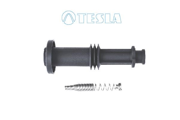 Tesla CP078 Ignition coil tip CP078: Buy near me in Poland at 2407.PL - Good price!