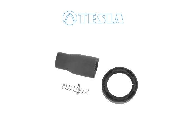 Tesla CP090 Spark plug tip CP090: Buy near me at 2407.PL in Poland at an Affordable price!