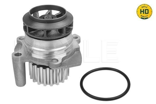 Meyle 113 220 0021/HD Water pump 1132200021HD: Buy near me in Poland at 2407.PL - Good price!