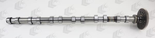 AE CAM1017 Camshaft CAM1017: Buy near me in Poland at 2407.PL - Good price!