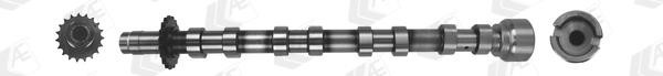 AE CAM1019 Camshaft CAM1019: Buy near me in Poland at 2407.PL - Good price!
