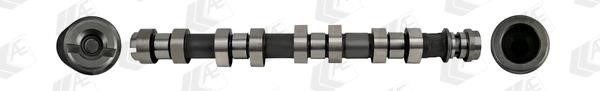 AE CAM1023 Camshaft CAM1023: Buy near me in Poland at 2407.PL - Good price!