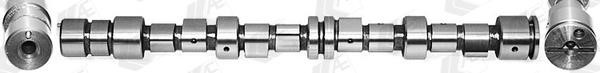 AE CAM316 Camshaft CAM316: Buy near me in Poland at 2407.PL - Good price!