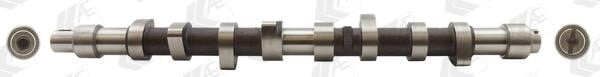 AE CAM373 Camshaft CAM373: Buy near me in Poland at 2407.PL - Good price!