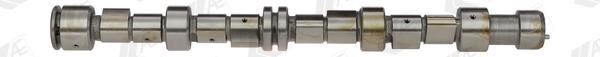 AE CAM453 Camshaft CAM453: Buy near me in Poland at 2407.PL - Good price!