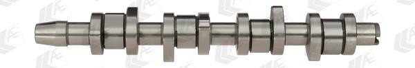 AE CAM672 Camshaft CAM672: Buy near me in Poland at 2407.PL - Good price!
