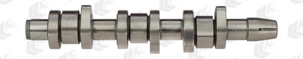 AE CAM673 Camshaft CAM673: Buy near me in Poland at 2407.PL - Good price!