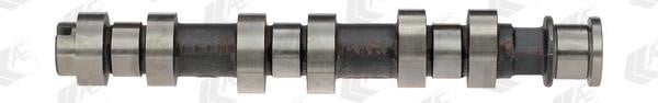AE CAM809 Camshaft CAM809: Buy near me in Poland at 2407.PL - Good price!