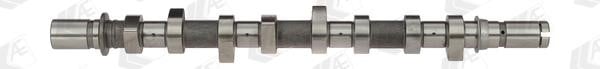AE CAM921 Camshaft CAM921: Buy near me in Poland at 2407.PL - Good price!