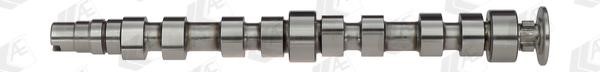AE CAM925 Camshaft CAM925: Buy near me in Poland at 2407.PL - Good price!