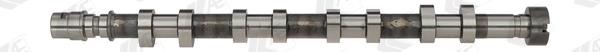 AE CAM927 Camshaft CAM927: Buy near me in Poland at 2407.PL - Good price!