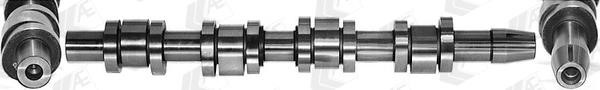 AE CAM938 Camshaft CAM938: Buy near me in Poland at 2407.PL - Good price!