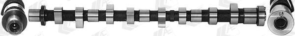 AE CAM941 Camshaft CAM941: Buy near me in Poland at 2407.PL - Good price!