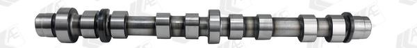 AE CAM945 Camshaft CAM945: Buy near me in Poland at 2407.PL - Good price!