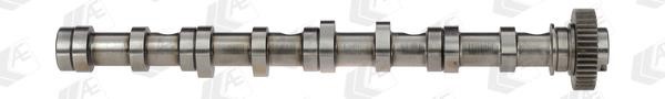 AE CAM961 Camshaft in CAM961: Buy near me in Poland at 2407.PL - Good price!