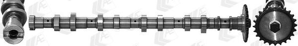 AE CAM966 Camshaft CAM966: Buy near me in Poland at 2407.PL - Good price!
