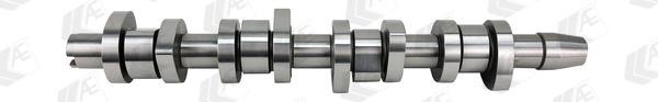 AE CAM968 Camshaft CAM968: Buy near me in Poland at 2407.PL - Good price!