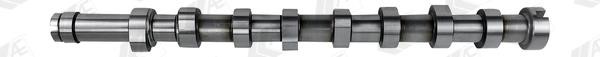 AE CAM969 Camshaft CAM969: Buy near me in Poland at 2407.PL - Good price!