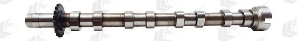 AE CAM975 Camshaft CAM975: Buy near me in Poland at 2407.PL - Good price!