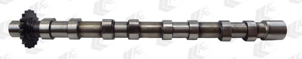 AE CAM976 Camshaft CAM976: Buy near me at 2407.PL in Poland at an Affordable price!