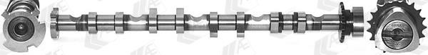 AE CAM981 Camshaft CAM981: Buy near me in Poland at 2407.PL - Good price!